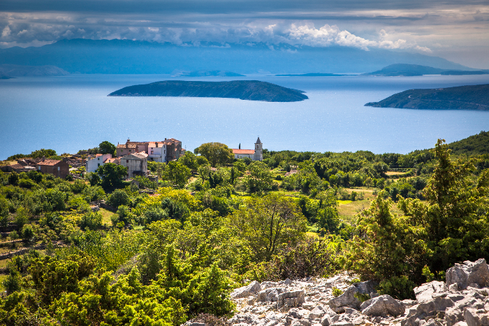 Gänsekopfgeier-Station Beli, Insel Cres