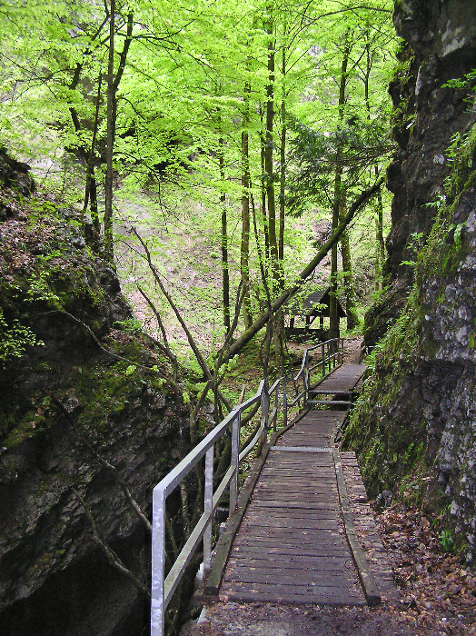 Gorski Kotar - das grüne Herz