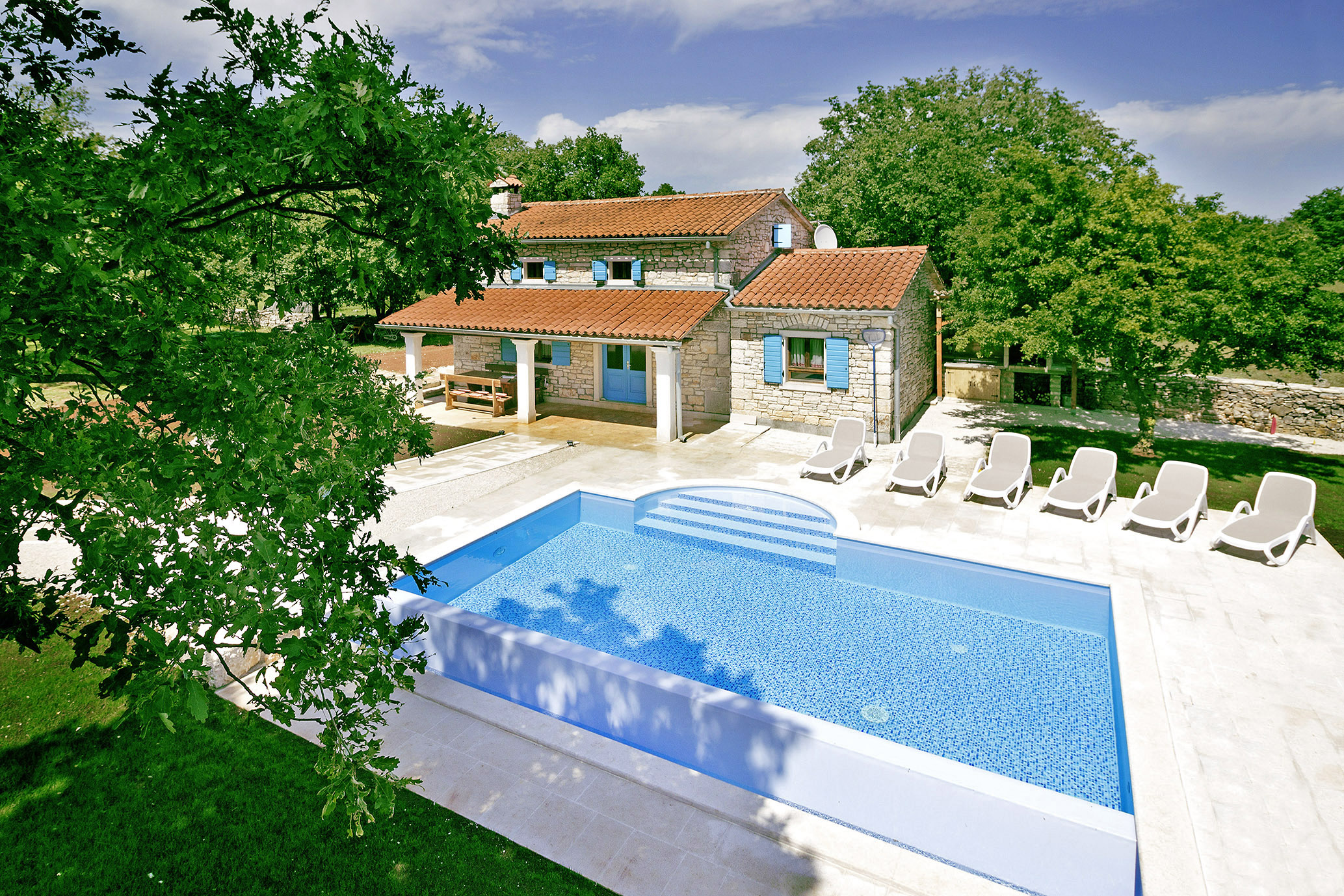 Feedback Haus Picanci